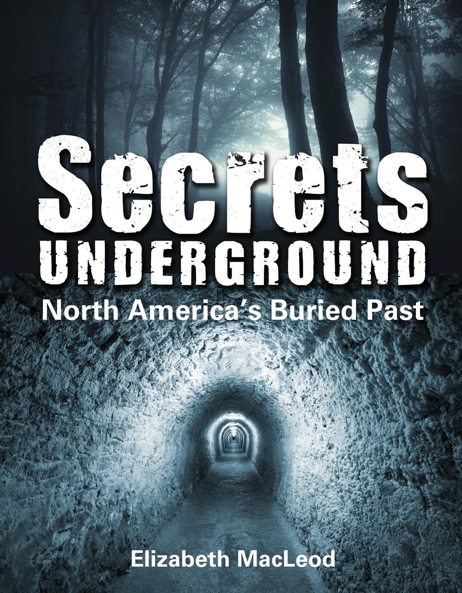 Book cover image for Secrets Underground ISBN: 9781554516315